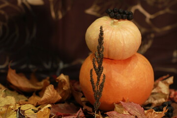 pumpkin family. halloween party. autumn harvest.