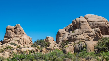 Joshua Tree Nationalpark