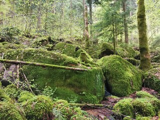 Moss covered rocks at Gertelsbacher Waterfalls