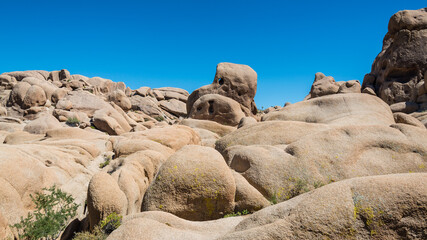 Joshua Tree Nationalpark