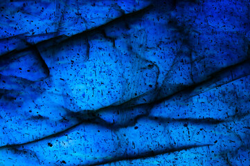 labradorite Detail of colorful multicolored (blue, cyan) macro gemstone. Close-up of the texture