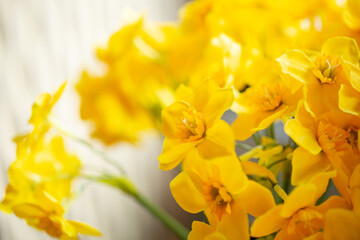 Obraz premium A closeup view of fake plastic yellow flowers as background decor.