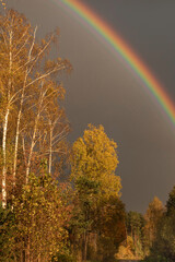 rainbow in autumn