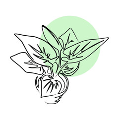 Vector illustration of home plant.  Line art