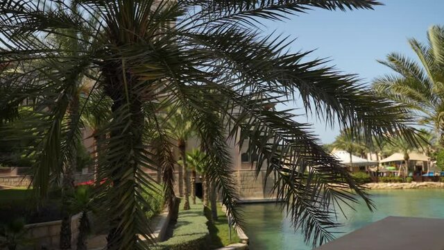 shedding palm trees and canal views and houses and lawns resort hotel