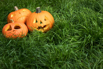 Obraz premium halloween carved pumpkin decoration on grass