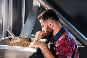 A young brewer in a leather apron controls the grinding of malt seeds in a mill at a modern brewery - obrazy, fototapety, plakaty