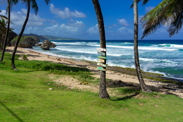 Caribbean beach with beautiful blue water  and some fluffy white clouds