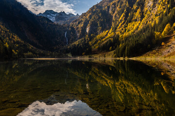 Fototapeta premium painting autumn