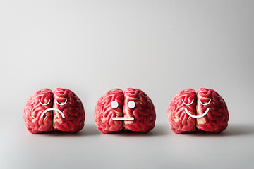 Concept of mental and psychological health. Human brains with different emotions on a gray...