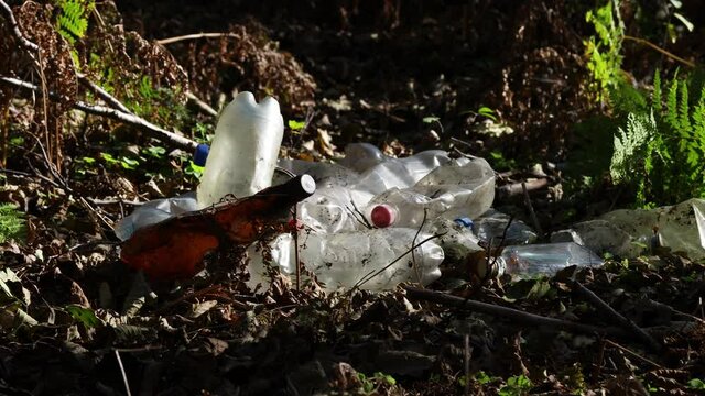 Pile of plastic bottles left in the woods. Nature polution  with plastic concept. 