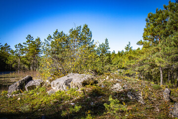 panga cliffs, island of saaremaa, estonia, baltics 