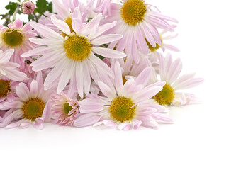 Bouquet of chrysanthemums.