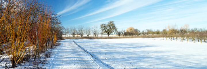 Snow landscape