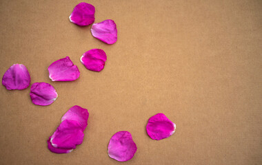 Pink flower petals on a sheet of craft cardboard. Romantic background for a postcard. Birthday greetings.Aromatherapy.