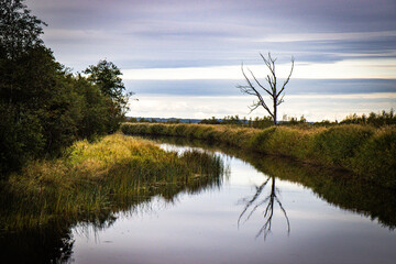 Fototapeta na wymiar matsalu national park in estonia, baltics, baltic states, autumn