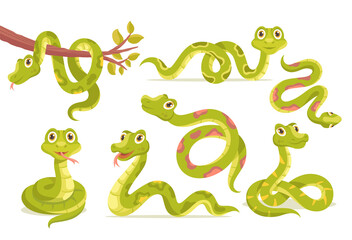 Set of snakes. Collection of images with cartoon characters. Images for printing on childrens clothing. Poster, banner, sticker. Cartoon flat vector illustration isolated on white background