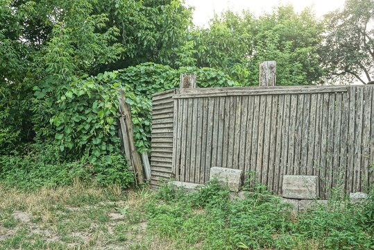 gray old wooden fence wall with a broken door overgrown with green vegetation on a rural street