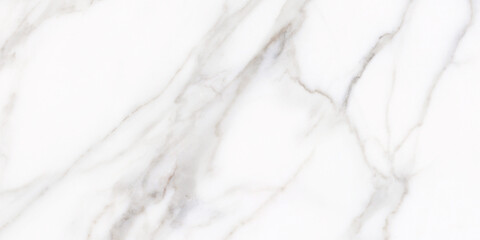 veined white carrara marble background