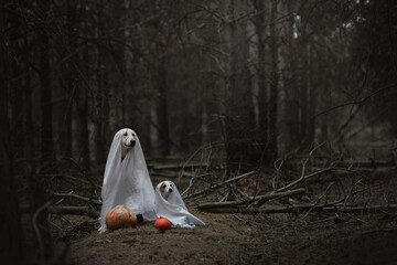 ghosts with pumpkins in the forest halloween