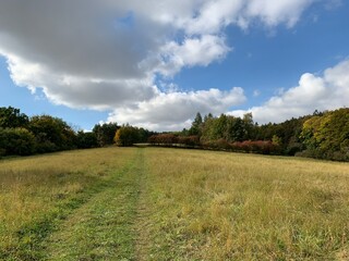 autumn landscape with blue sky