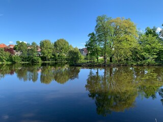 Fototapeta na wymiar lake in the park, perfect reflection
