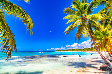 Palm trees on the caribbean tropical beach. Saona Island, Dominican Republic. Vacation travel background