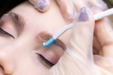 macro photography of the distribution of eyebrow hairs using a brush for laying out before the eyebrow lamination procedure