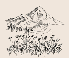 Hand drawn vector landscape with mountains, trees and mountains valley. Perfect for banner, poster and sticker design. 