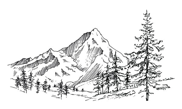 Hand drawn vector landscape with mountains, trees and mountains valley. Perfect for banner, poster and sticker design. 