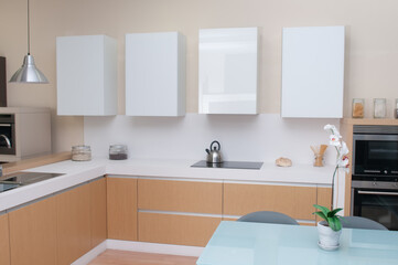 perfectly equipped modern kitchen in a ready-to-cook home 