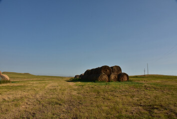 Obraz premium Farm with Rolled and Stacked Round Bales of Hay