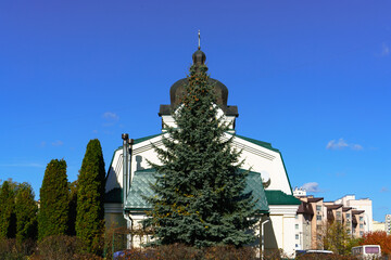Tall green spruce on a sunny autumn day against the background of a Christian temple and a blue sky