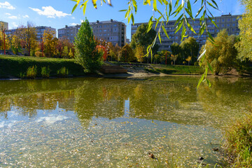 Fototapeta premium Autumn leaves on the surface of a lake in a city park with city houses and blue sky on the horizon