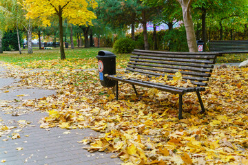 Wooden bench in a city park among autumn leaves on a cloudy day in October