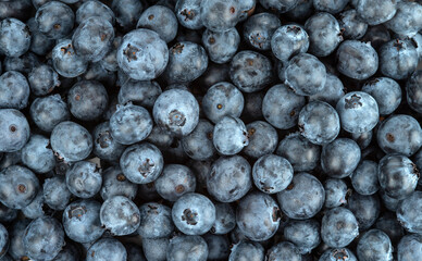 Fresh ripe blueberries. Natural background from blueberries.