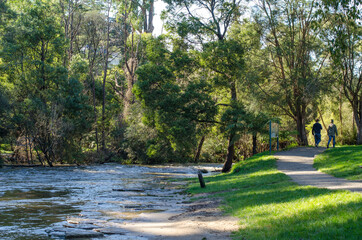 Warburton river and a gravel footpath along riverbank. Beautiful scenery and nature environment of a freshwater stream. A local attraction and day out travel destination in Victoria, Australia.