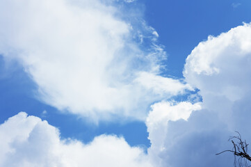 Obraz premium blue sky, clouds, nature background.