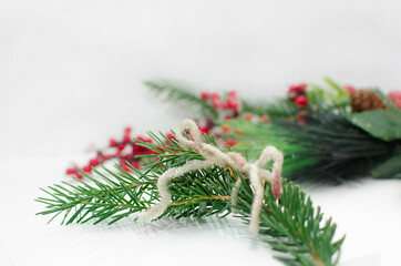 evergreen tree twigs on white background, Christmas decorations and copy space