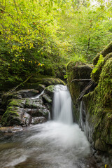 Fototapeta premium Long exposure of a waterfall on the Hoar Oak Water river flowing through the woods at Watersmeet in Exmoor National Park
