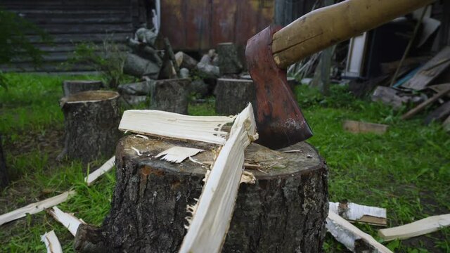 Elderly farmer sticks ax blade into big tree stump after chopping firewood in middle of yard with bunch of birch logs and shed closeup