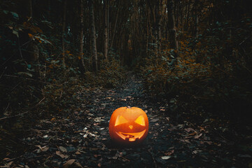 Hallowen Pumpkin in the forest, Burton on Trent England, UK.