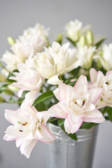 white and pink peony lily in vase. Tender flower petals close up. Natural flower backdrop. Beautiful floral greeting card