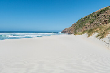Sandfly bay near Dunedin, New Zealand