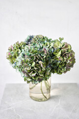Bouquet of green and blue flower. Beautiful hydrangea flowers in a vase on a table. Decoration of home. Wallpaper and background.