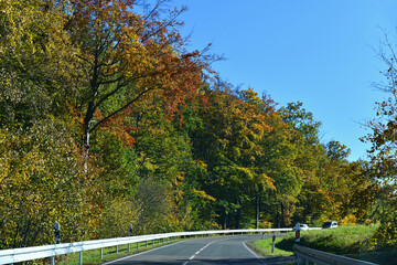 Landstraße mit bunten Laubbäumen