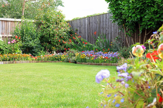 Colourful Flowers And Shrubs In A Back Garden Border With A Wooden Fence And Maintained Lawn