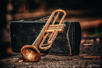 old trumpet © Edgar Martirosyan