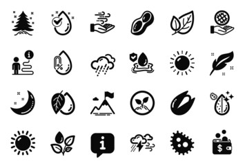 Vector Set of Nature icons related to Rainy weather, Feather and Peanut icons. Water drop, Startup and Mineral oil signs. Plants watering, Wind energy and No alcohol. Leaf, Sunny weather. Vector