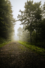 End of summer in the mountains. Bieszczady trails in the fog.